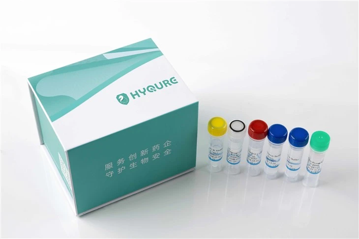 Fungal DNA Detection Kit (PCR-Fluorescent Probe Method) [HYM005]